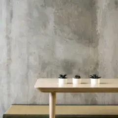 Minimalistne wnętrze z surowym tynkiem gipsowym bez gładzi. Na drewnianym stole trzy małe sukulenty w białych doniczkach.