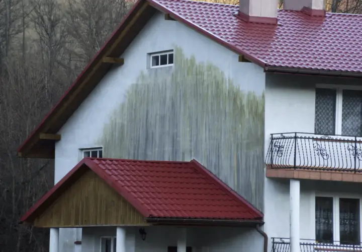 Duże, zielonkawe mokre plamy na elewacji domu, przypominające ślady po deszczu.